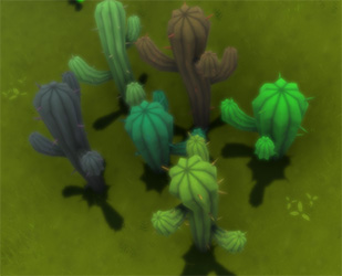 IMG:https://stuff.unrealsoftware.de/pics/s3dev/editor/colored_cactus_plants.jpg