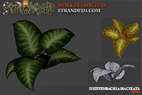 IMG:https://stuff.unrealsoftware.de/pics/s3dev/models/dieffenbachia_maculata_pre.jpg