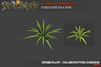 IMG:https://stuff.unrealsoftware.de/pics/s3dev/models/spiderplant_pre.jpg